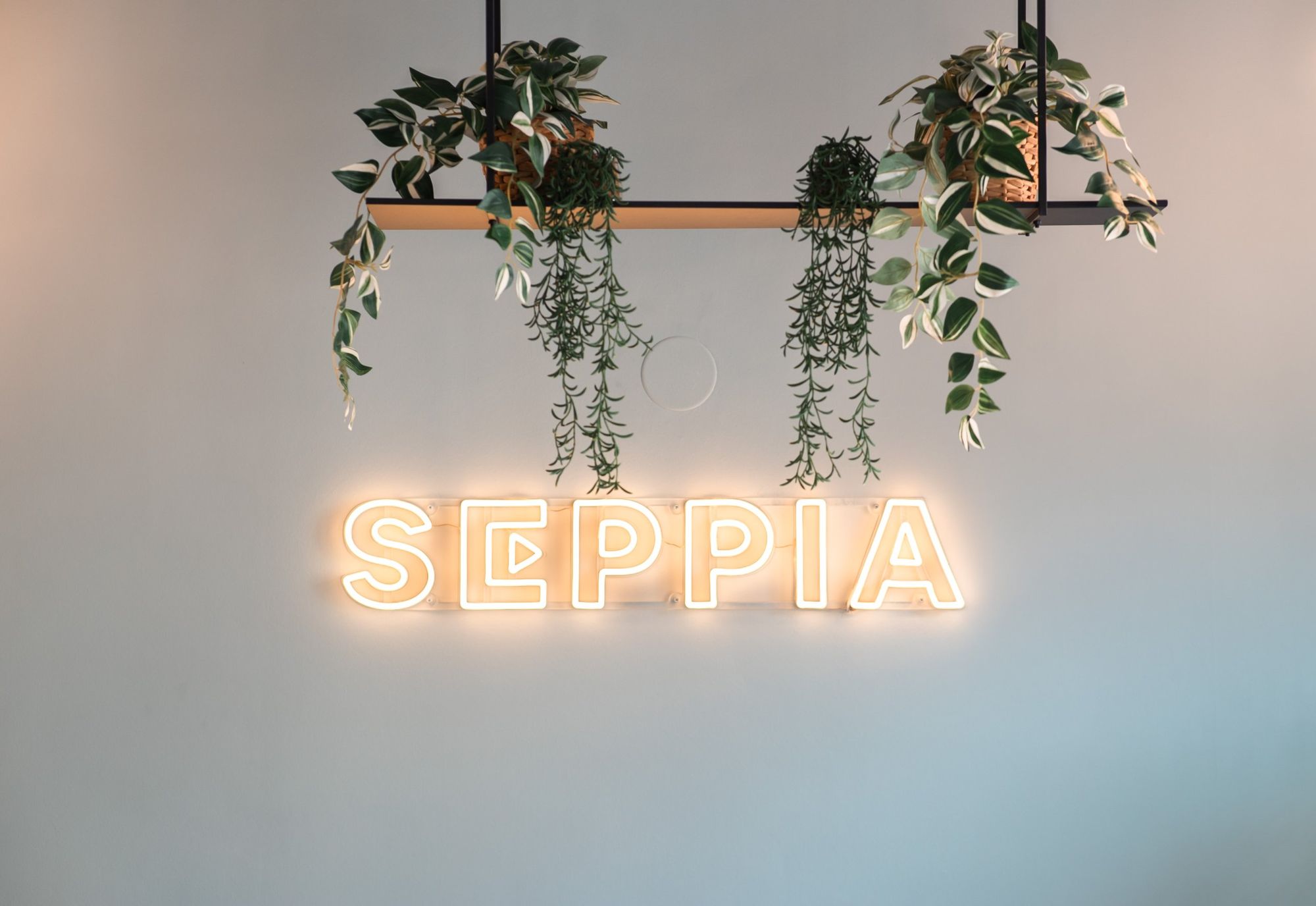 Photographe d’intérieur à Strasbourg : néon lumineux Seppia et plantes suspendues sur un mur clair